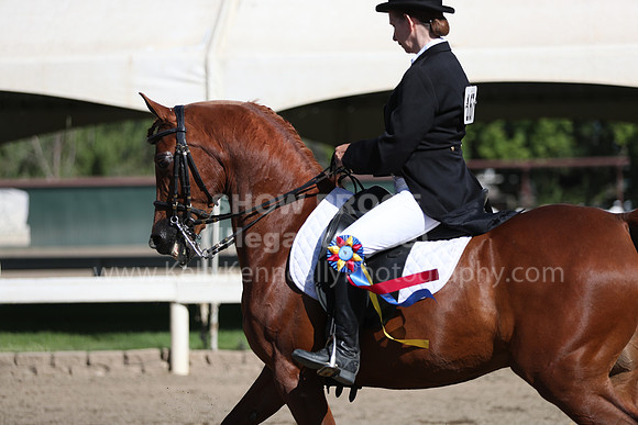 DAHA_Spring21_Sun_4395