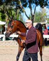 DAHA_Spring21_Fri_1322