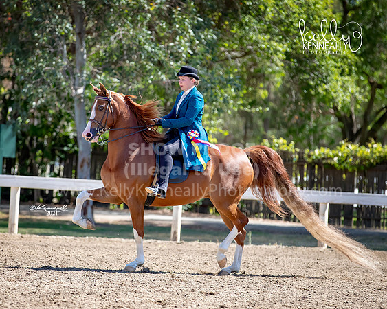 1DAHA_Spring21_Sun_4712
