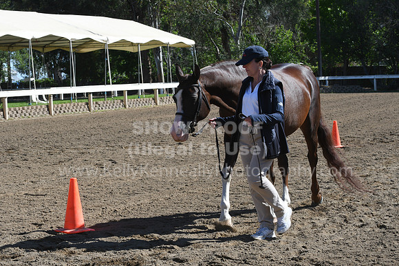 DSC_4701