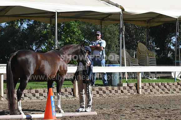 DSC_4709