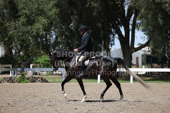 DAHA22_Thurs_1397