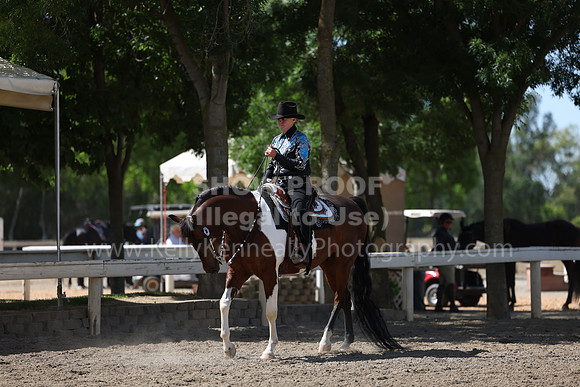 DAHA22_Thurs_0757