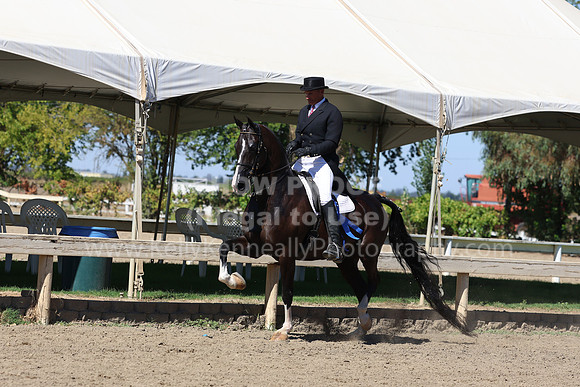 DAHA_FF22_1158