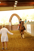 Class 233 - Walk/Trot Country English Pl/10 & Under