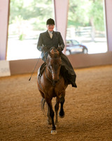 Class 44 HA Ladies Side Saddle