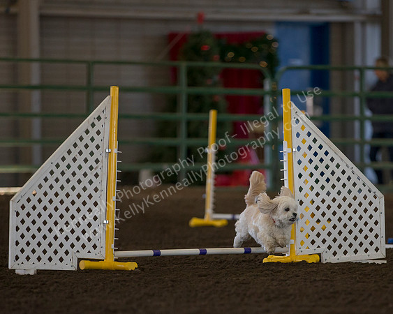SCAC_Nov17Day1_0384