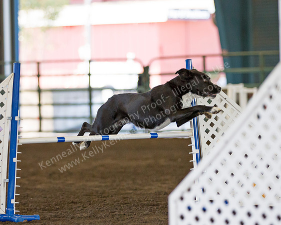 SCAC_Nov17Day1_0552