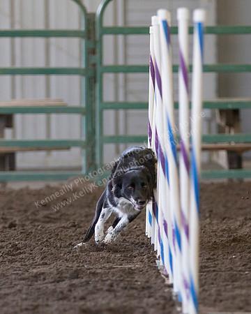 SCAC_Nov17Day1_0590