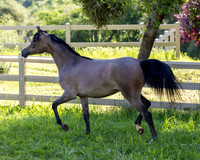 LaVitaBellaRA_Apr25_5951