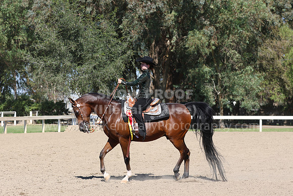 DAHA_FF22_5358