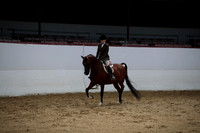 Class 73 Arabian Hunter Pleasure JTR Select 18 yrs/Under