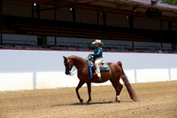 Class 83 A/HA/AA Walk Jog Western Pleasure Riders 10 yrs under