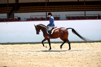 Class 94 Arabian Hunter Pleasure AAOTR 19 yrs/Over