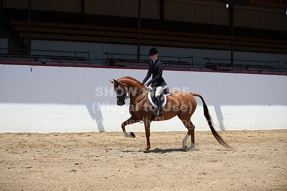 R221_PS_2561