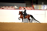 Class 99 Arabian English Pleasure ATR