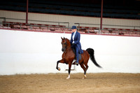 Class 107 Arabian Country English Pleasure AATR 19 yrs/Over