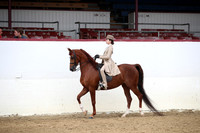 Class 205 A/HA/AA Walk Trot Saddle Seat Equitation Championship 10 yrs & Under