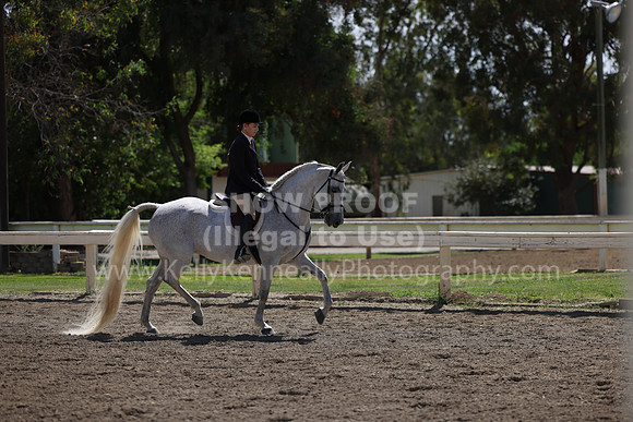 DAHA22_Thurs_0836