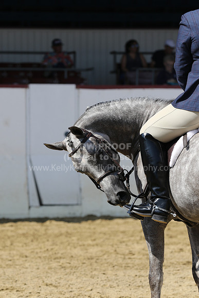 R221_CH_B_0970
