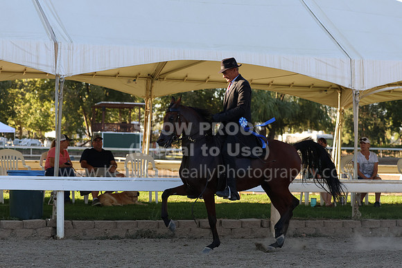 DAHA_FF22_3595