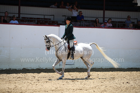 R221_CH_4395