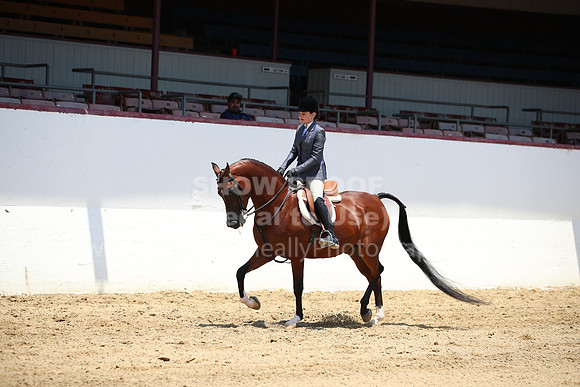 R221_CH_4409