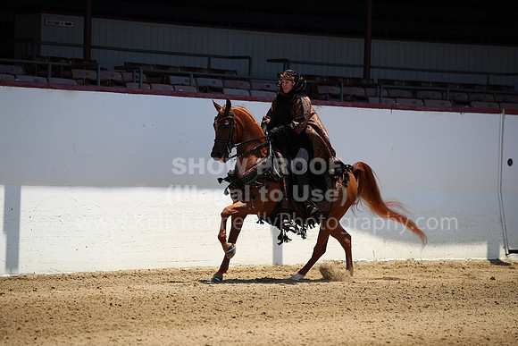 R221_CHSat_0005