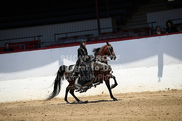 R221_CHSat_0011