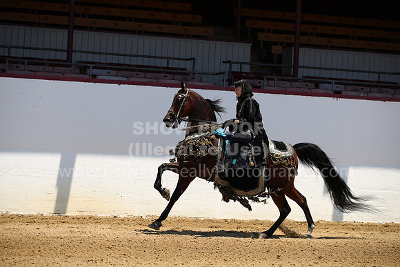 R221_CHSat_0021