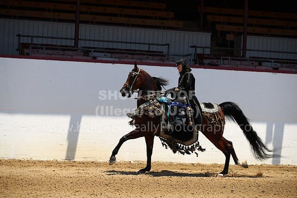 R221_CHSat_0022