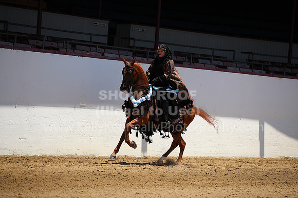 R221_CHSat_0024