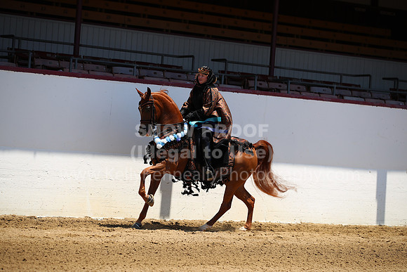 R221_CHSat_0026