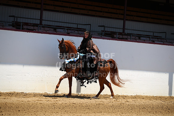 R221_CHSat_0027