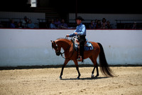 R221_CHSat_0053