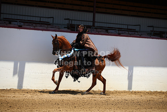 R221_CHSat_0029