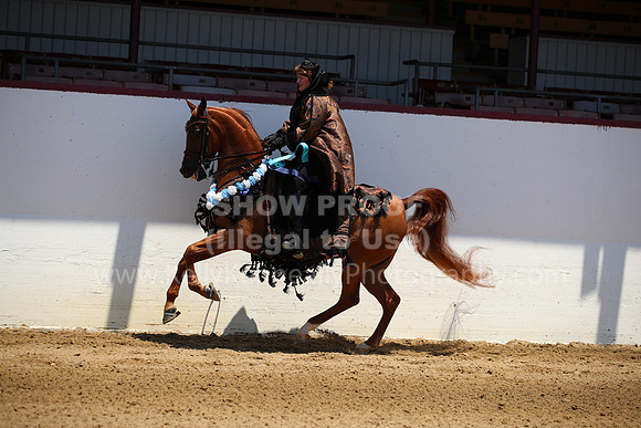 R221_CHSat_0031