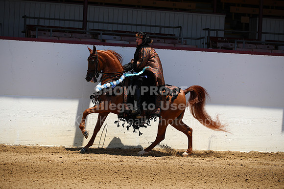 R221_CHSat_0032