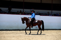 R221_CHSat_0056