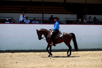 R221_CHSat_0057