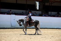 R221_CHSat_0061