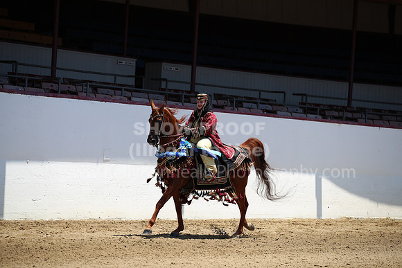 R221_CHSat_0045