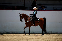 R221_CHSat_0119