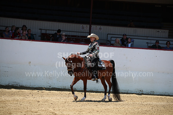 R221_CHSat_0074