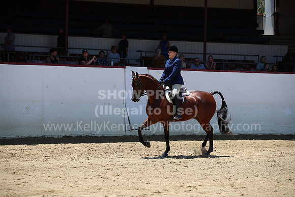R221_CHSat_0141