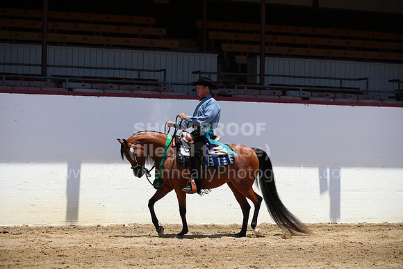 R221_CHSat_0096