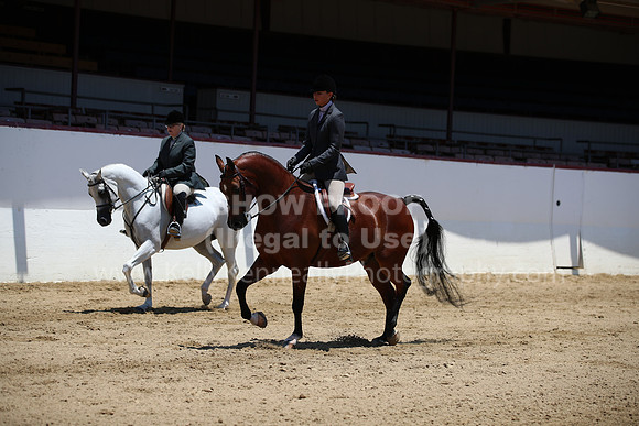 R221_CHSat_0153