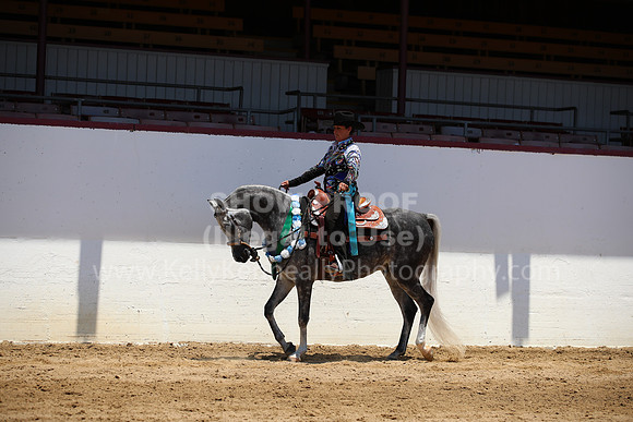 R221_CHSat_0104