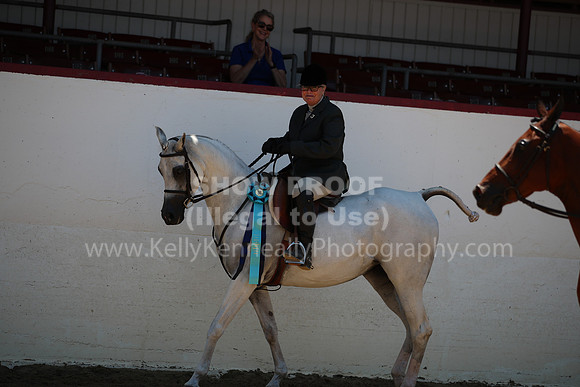 R221_CHSat_0161