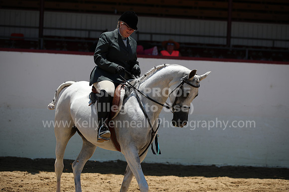 R221_CHSat_0166